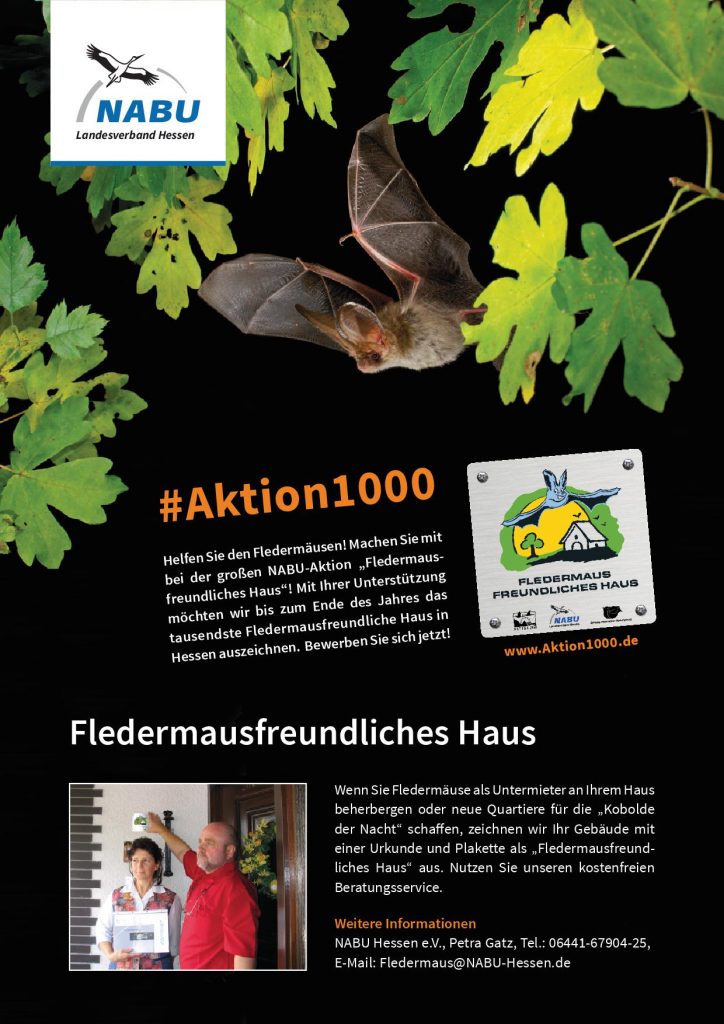 aktion1000_bewerbungsbogen_web-001