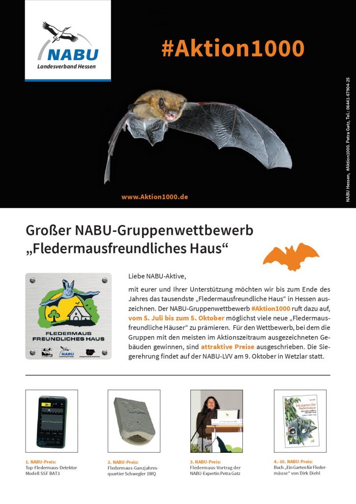 aktion1000_gruppenwettbewerb_web-001